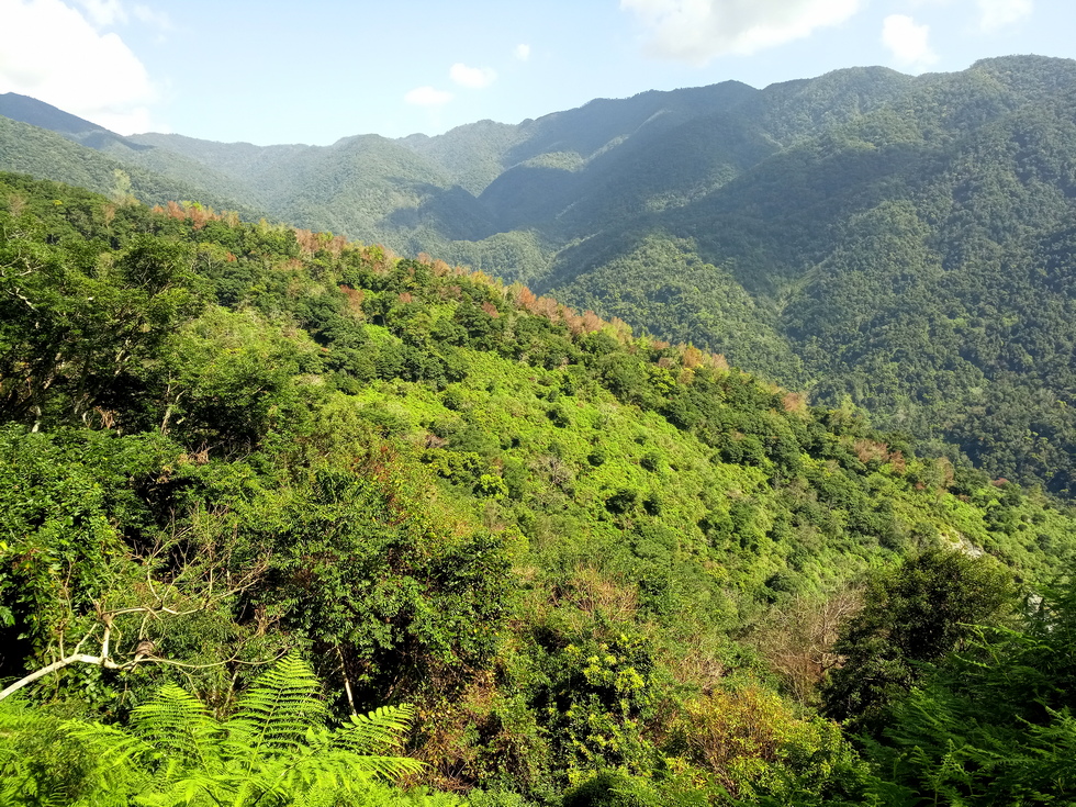 Nanao trail 南澳古道 IMG_20190207_113845_6