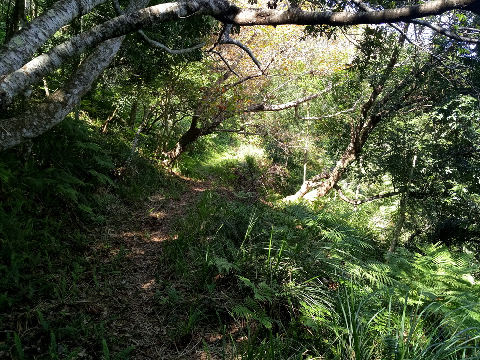 Nanao trail 南澳古道 IMG_20190207_115152_6