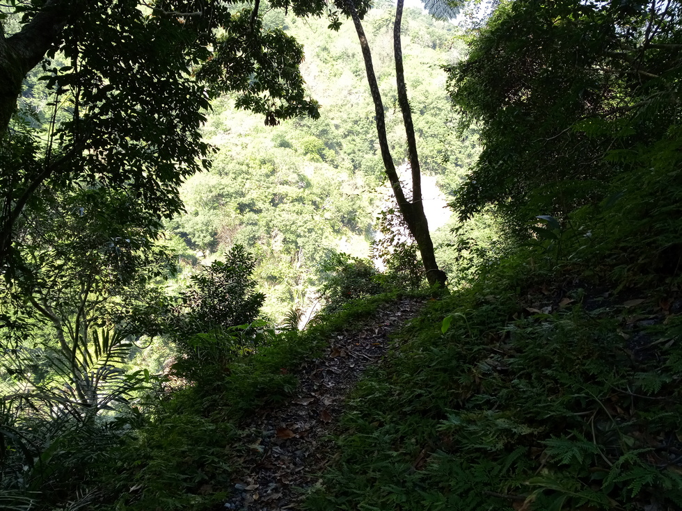 Nanao trail 南澳古道 IMG_20190207_134418_9