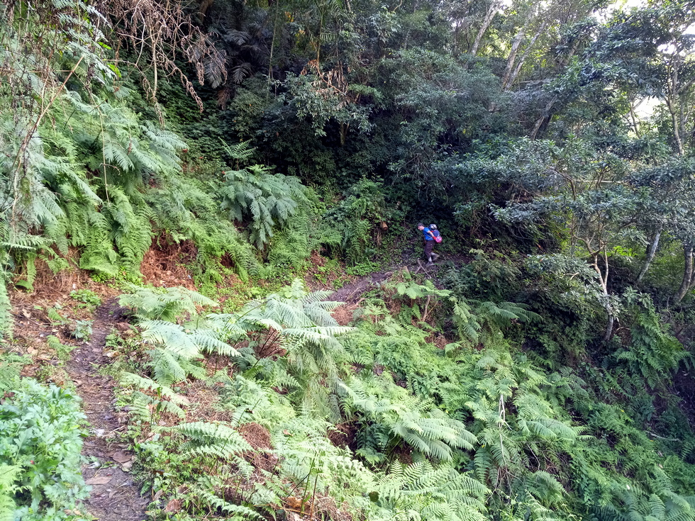 Nanao trail 南澳古道 IMG_20190207_141556_5