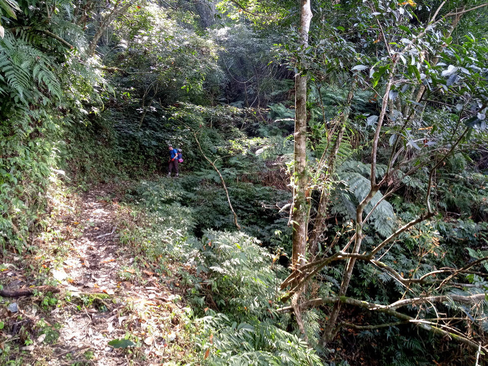 Nanao trail 南澳古道 IMG_20190207_141853_8