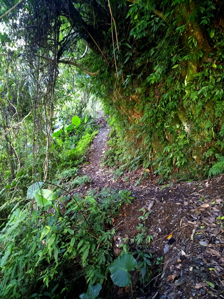 Nanao trail 南澳古道 IMG_20190207_145026_7