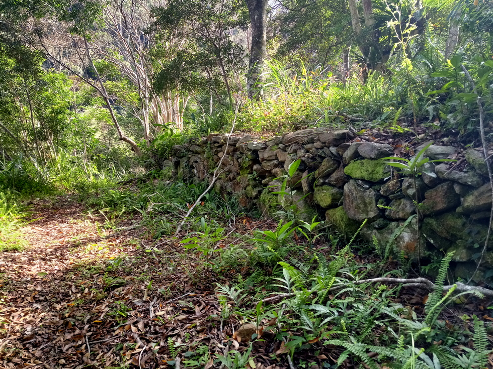 Nanao trail 南澳古道 IMG_20190207_145552_4