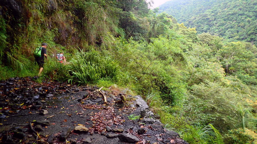 Neidong Forest Road 內洞林道 P8300777