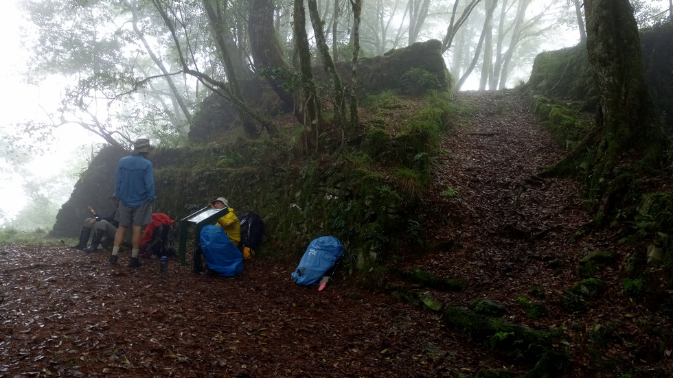 Xinkang hike 新康橫斷線 IMG_20201104_141248_2