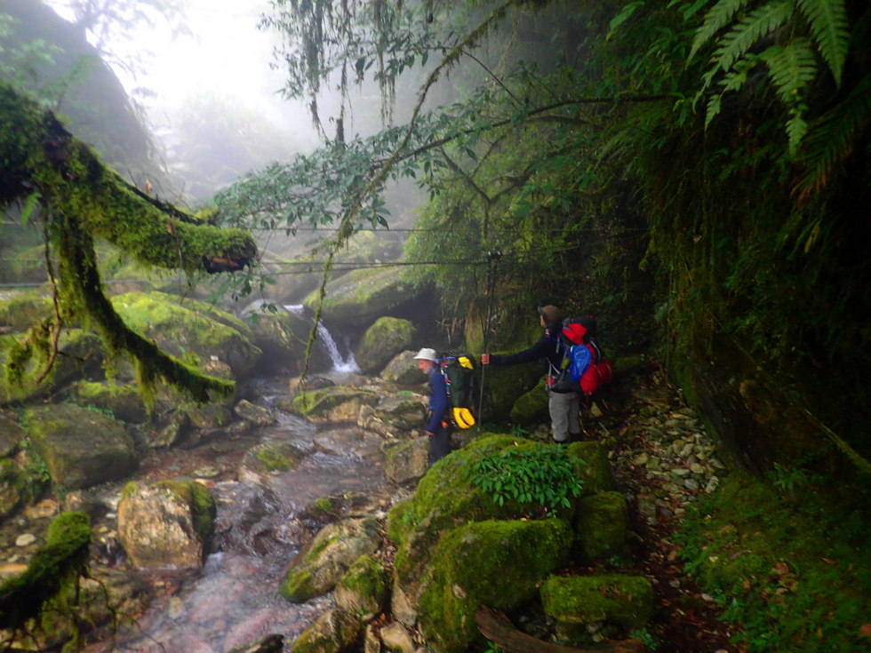 Xinkang hike 新康橫斷線 PB040170