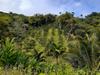 cultivation on the land above