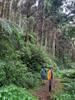 to previous album: Neidong Forest Road 內洞林道