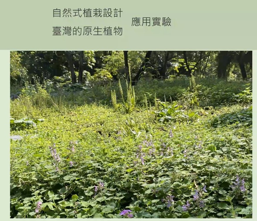 Plant Ark Program 國家植物園方舟計畫 fangzhou-10-13