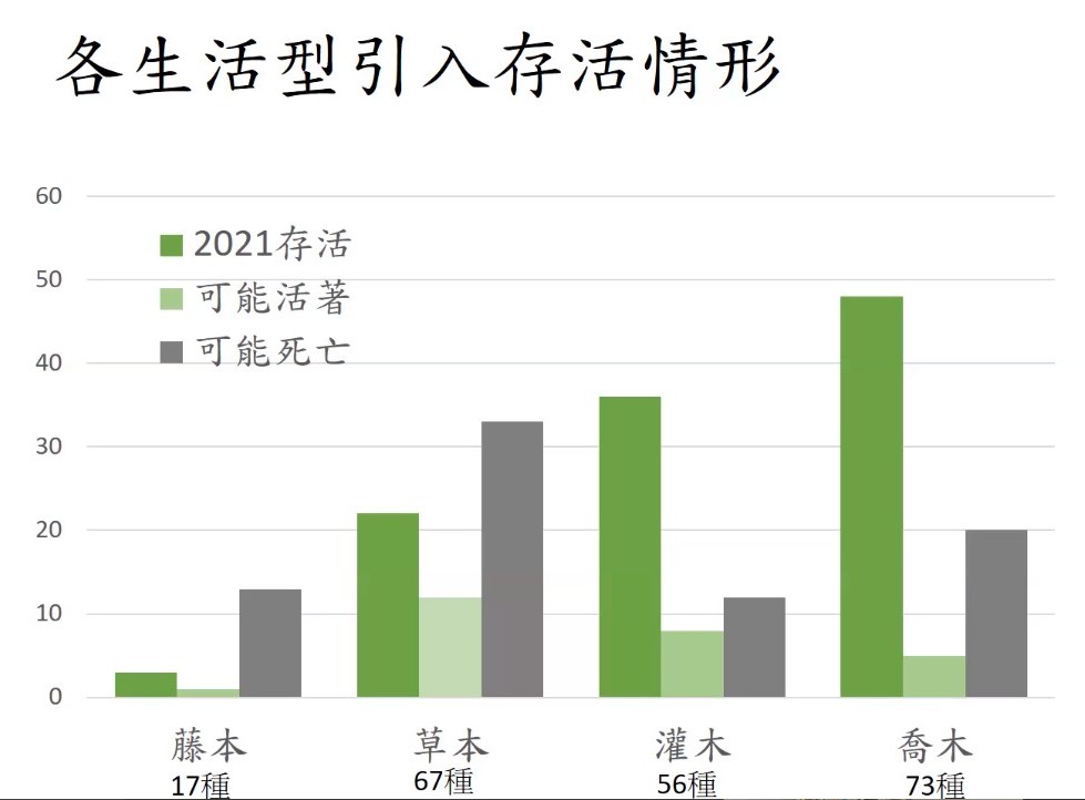 Plant Ark Program 國家植物園方舟計畫 fangzhou-11-16