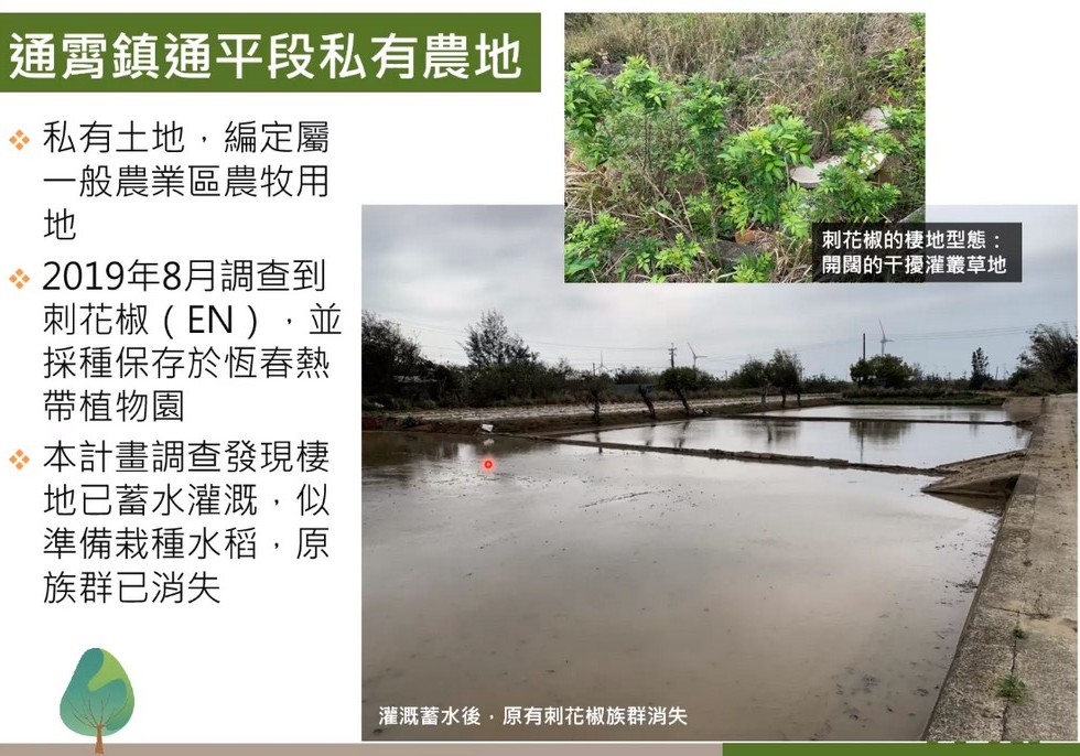 Plant Ark Program 國家植物園方舟計畫 fangzhou-2-14