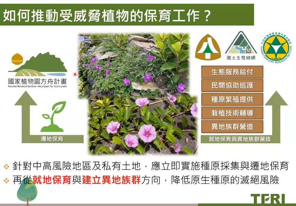 Plant Ark Program 國家植物園方舟計畫 fangzhou-2-18