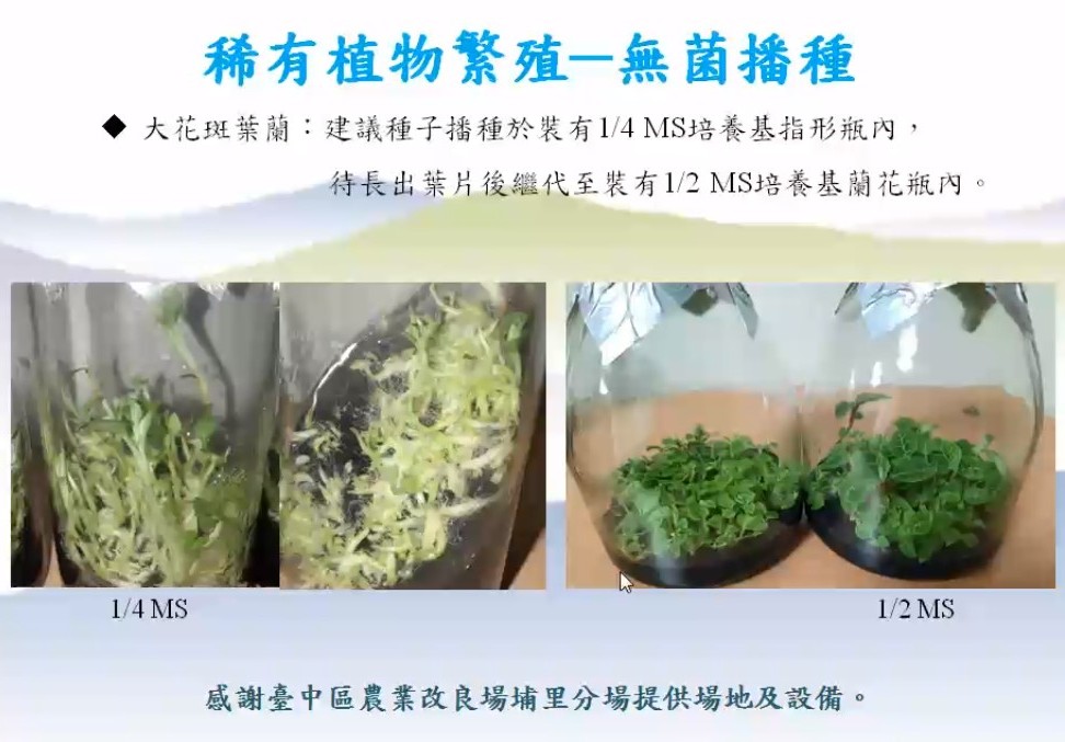 Plant Ark Program 國家植物園方舟計畫 fangzhou-4-12