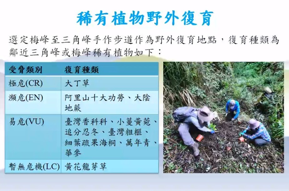 Plant Ark Program 國家植物園方舟計畫 fangzhou-4-26