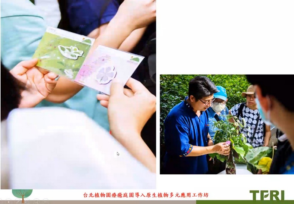 Plant Ark Program 國家植物園方舟計畫 fangzhou-6-34