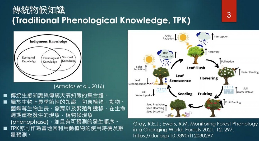 Plant Ark Program 國家植物園方舟計畫 fangzhou-7-1