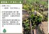 Plant Ark Program 國家植物園方舟計畫 fangzhou-2-13