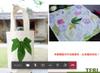 Plant Ark Program 國家植物園方舟計畫 fangzhou-6-27