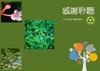 Plant Ark Program 國家植物園方舟計畫 fangzhou-6-39