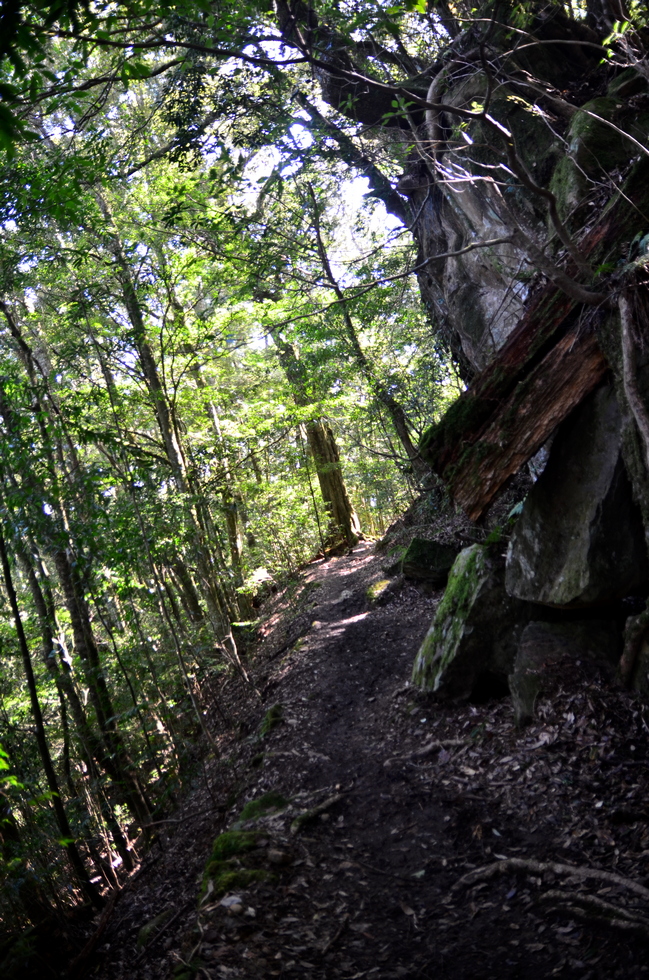 Skaru 霞喀羅 trail DSC_2616