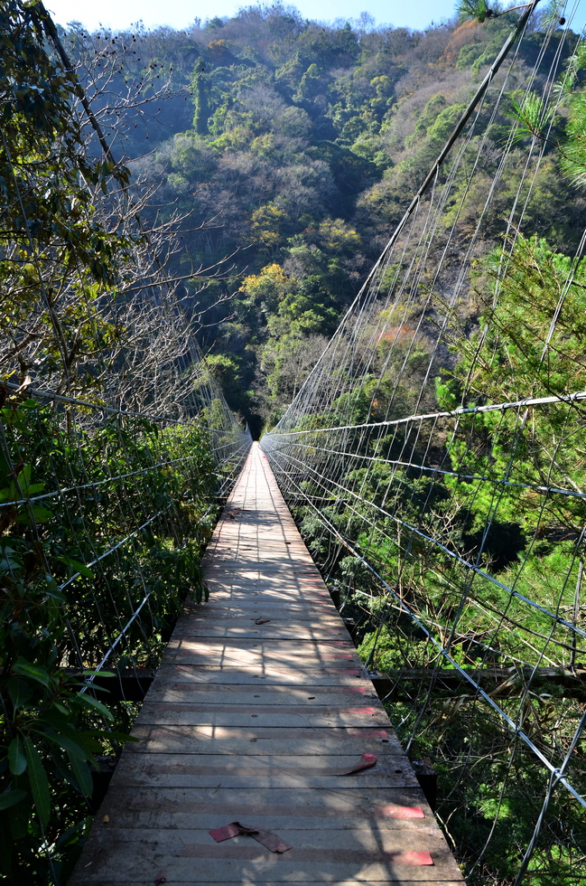 Skaru 霞喀羅 trail DSC_2682