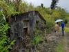 Visiting Jay's site in Pinglin 坪林 Dalin 大林里 20210525_093922