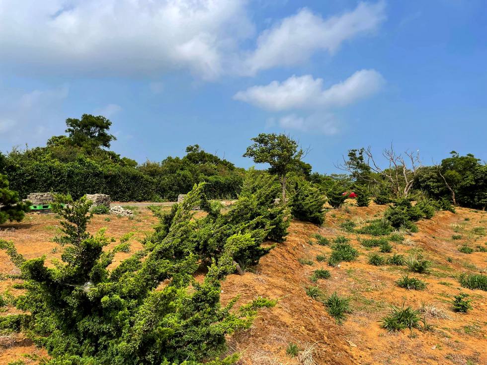 Sanzhi 三芝 vegetation_land_form_soil_surface_ground_image