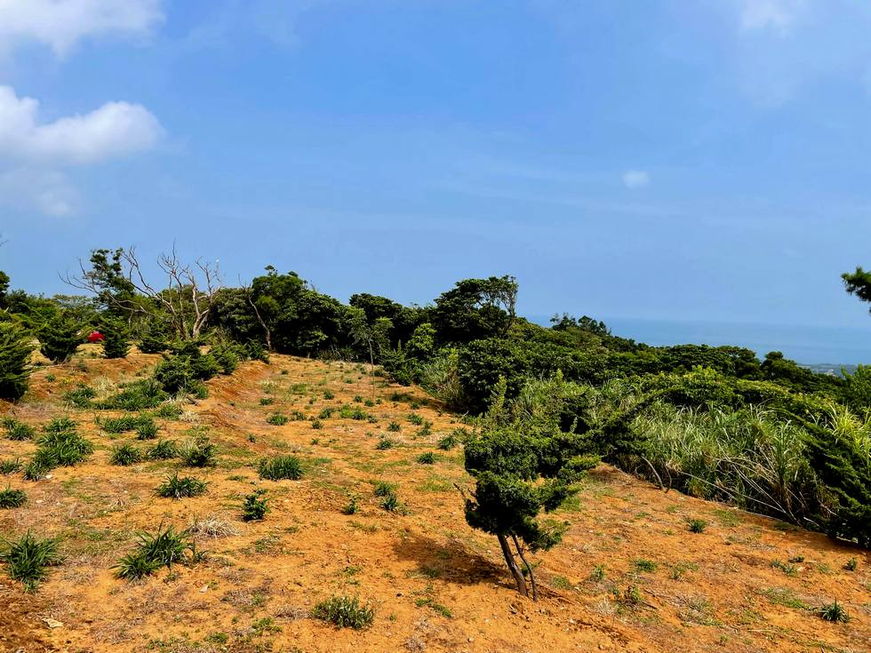 Sanzhi 三芝 vegetation_land_form_soil_surface_ground_image2