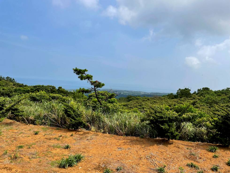 Sanzhi 三芝 vegetation_land_form_soil_surface_ground_image3