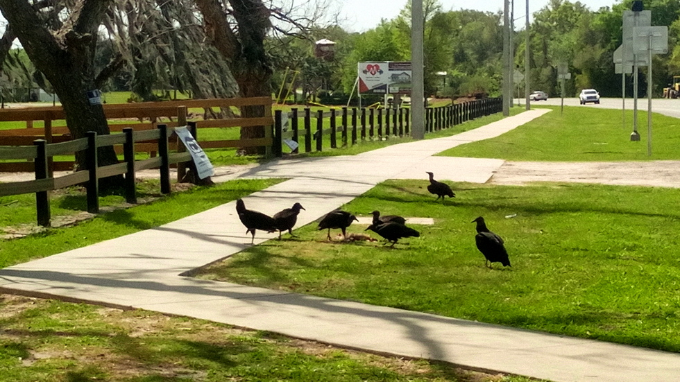 Florida IMG_20220322_120615_2