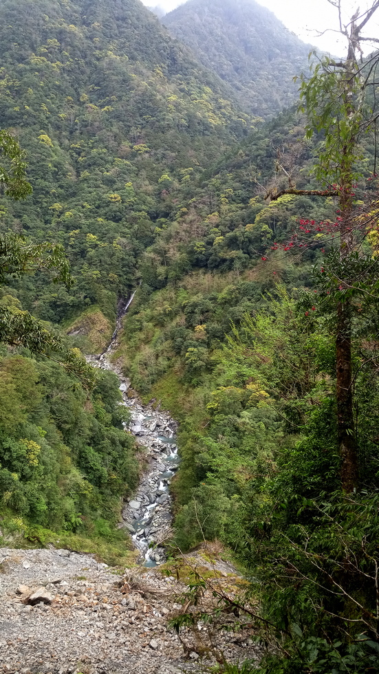 Yuli Forest Roads 玉里林道 IMG_20220226_152131_4