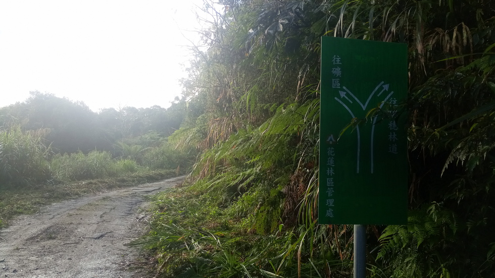 Yuli Forest Roads 玉里林道 IMG_20220228_080139_2