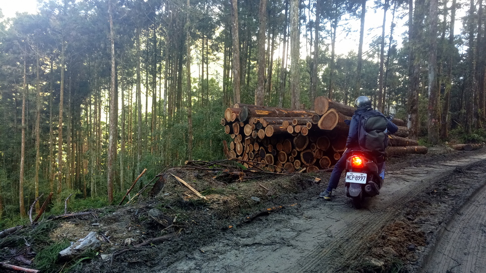 Yuli Forest Roads 玉里林道 IMG_20220228_085141_3