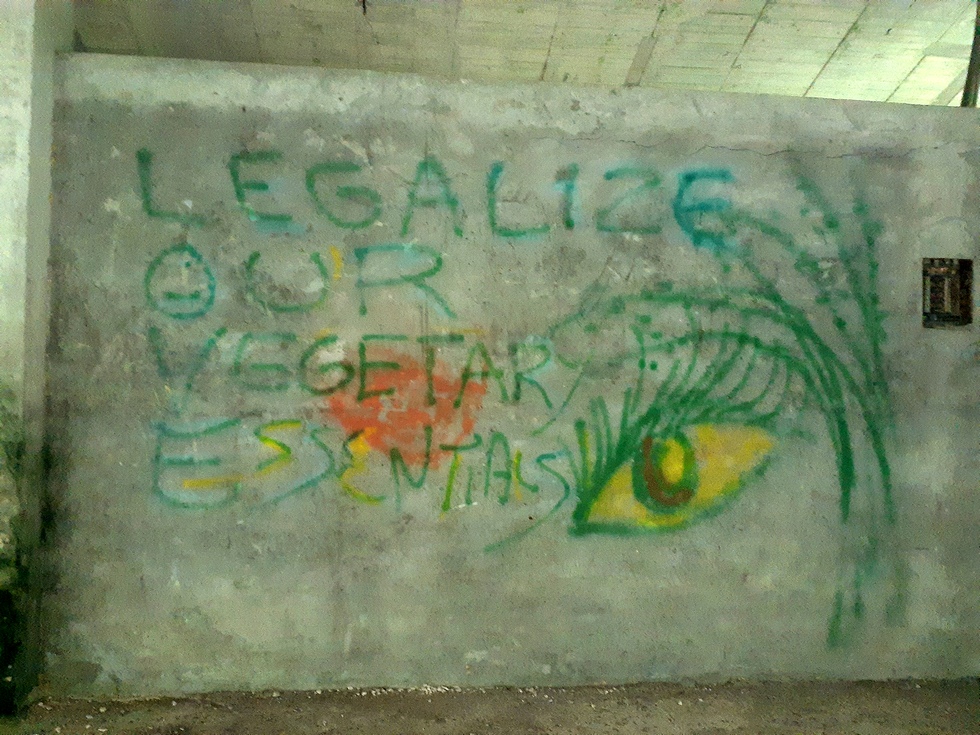 May 20220514_085422