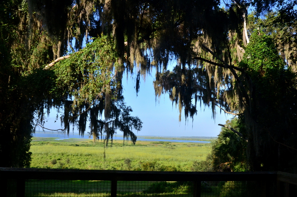 Florida DSC_4109