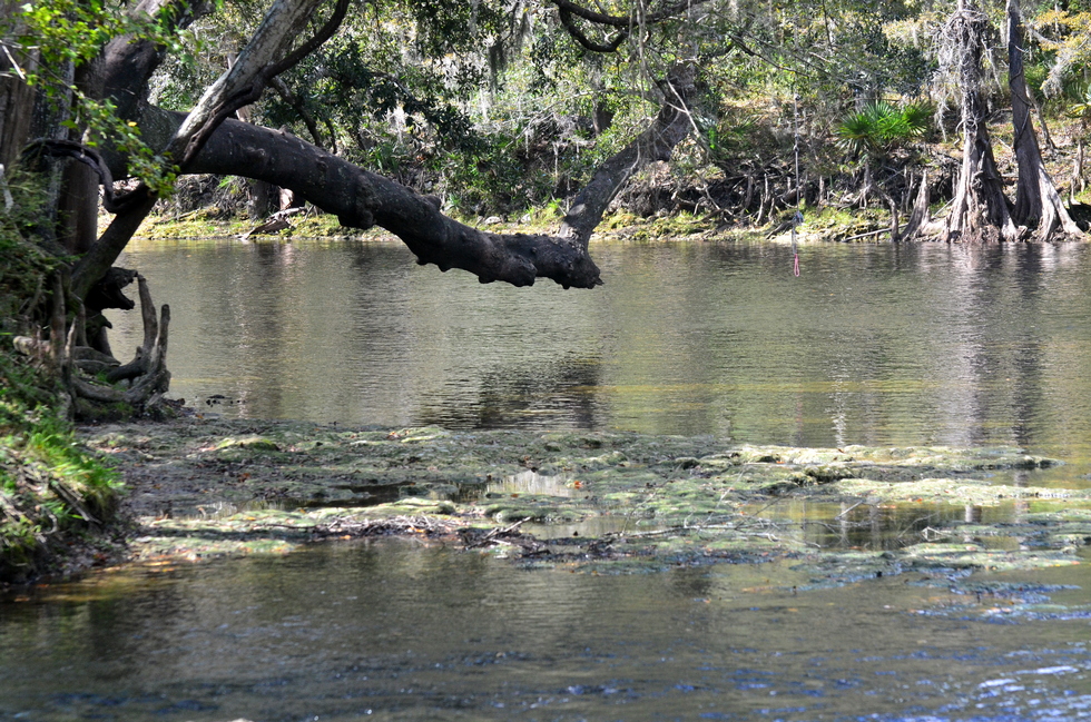 Florida DSC_4336