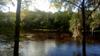 Bluebird Landing, Santa Fe River