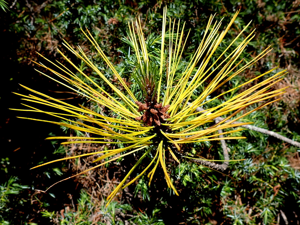 Badaxiu P7010221