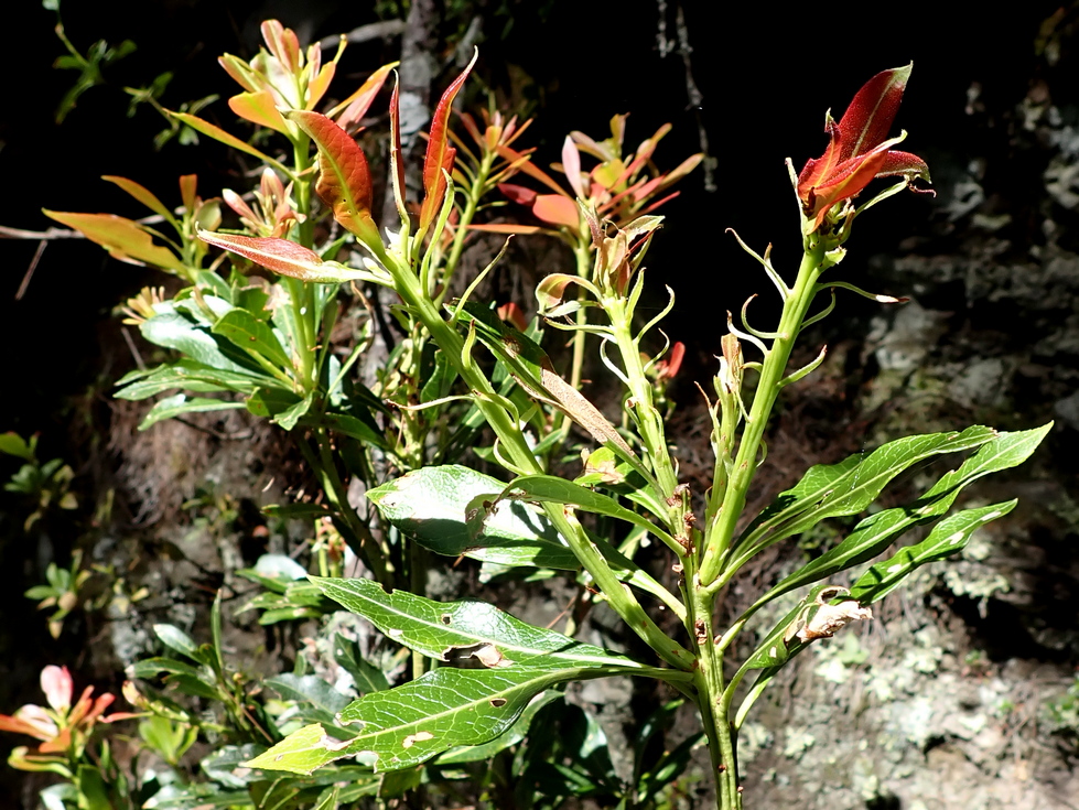 Badaxiu P7030420