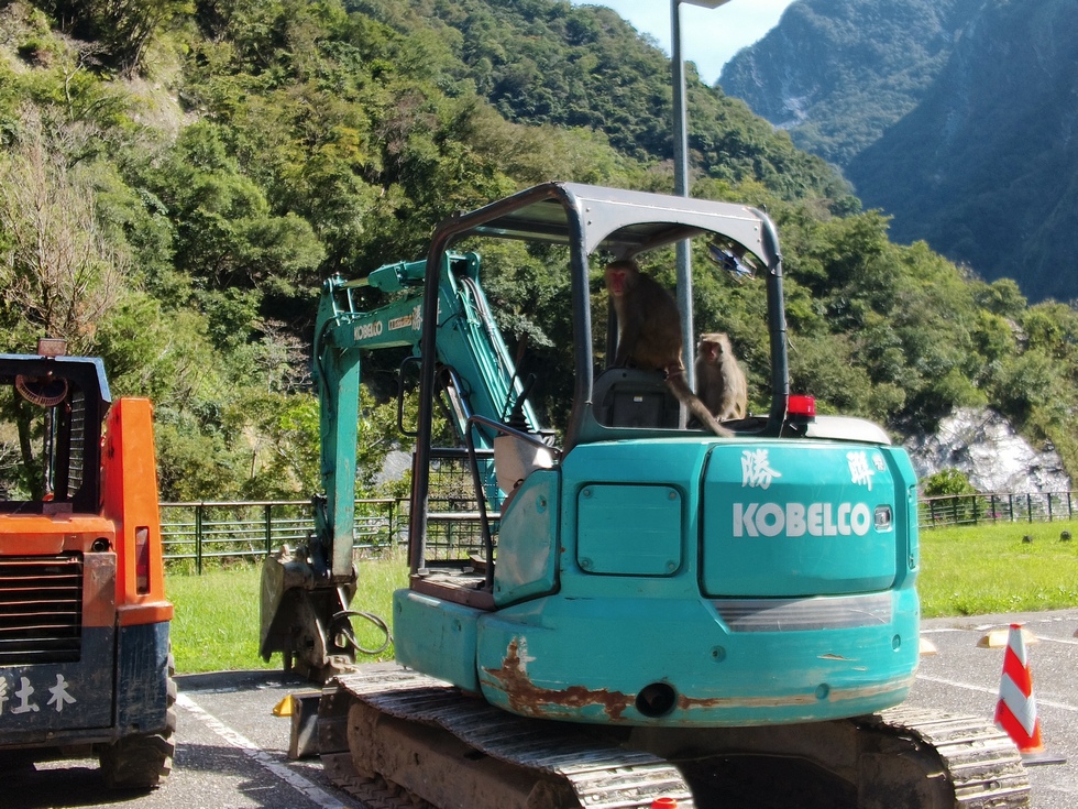 Taroko Gorge 太魯閣峽谷 IMG_20251109_123111_664