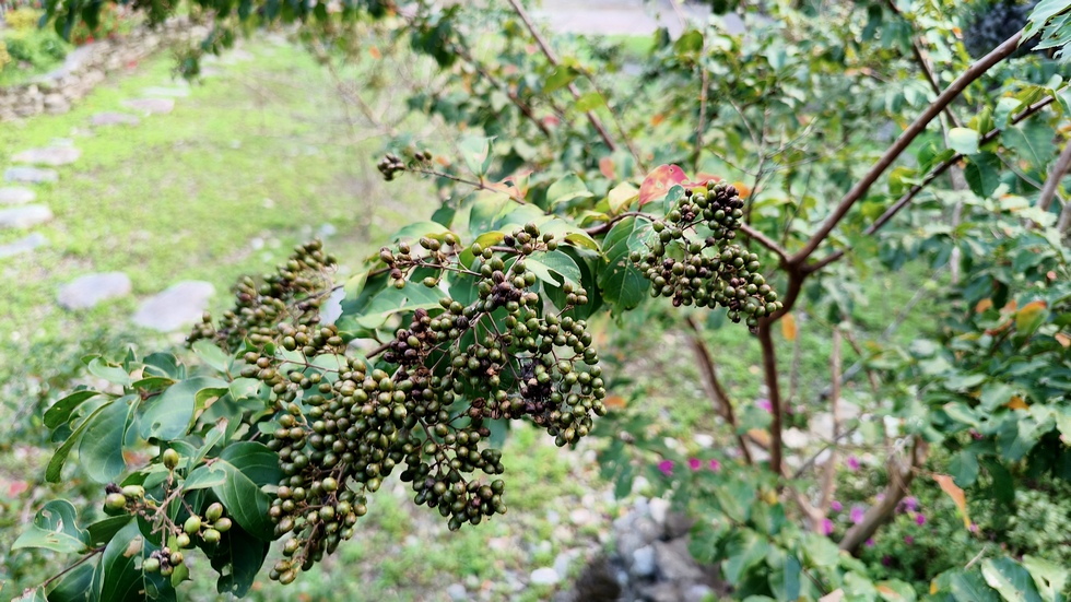 Taroko Gorge 太魯閣峽谷 IMG_20251109_143011_751