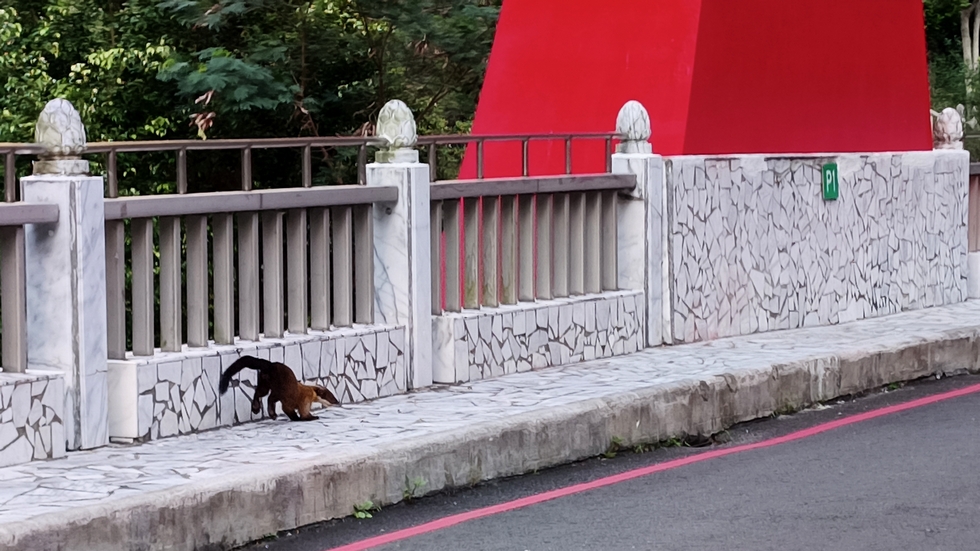 Taroko Gorge 太魯閣峽谷 IMG_20251109_151440_890