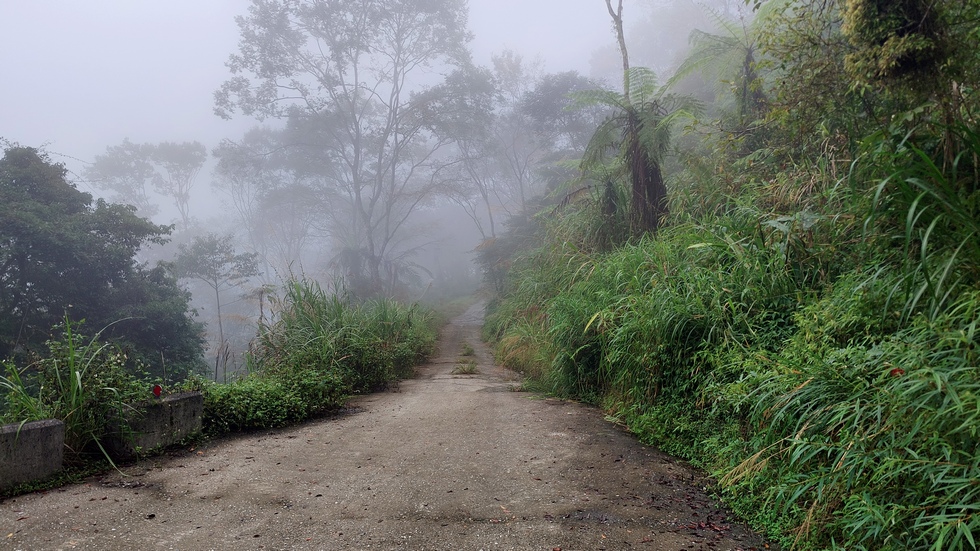 西林林道 Xilin Forest Road IMG_20251108_155850_229